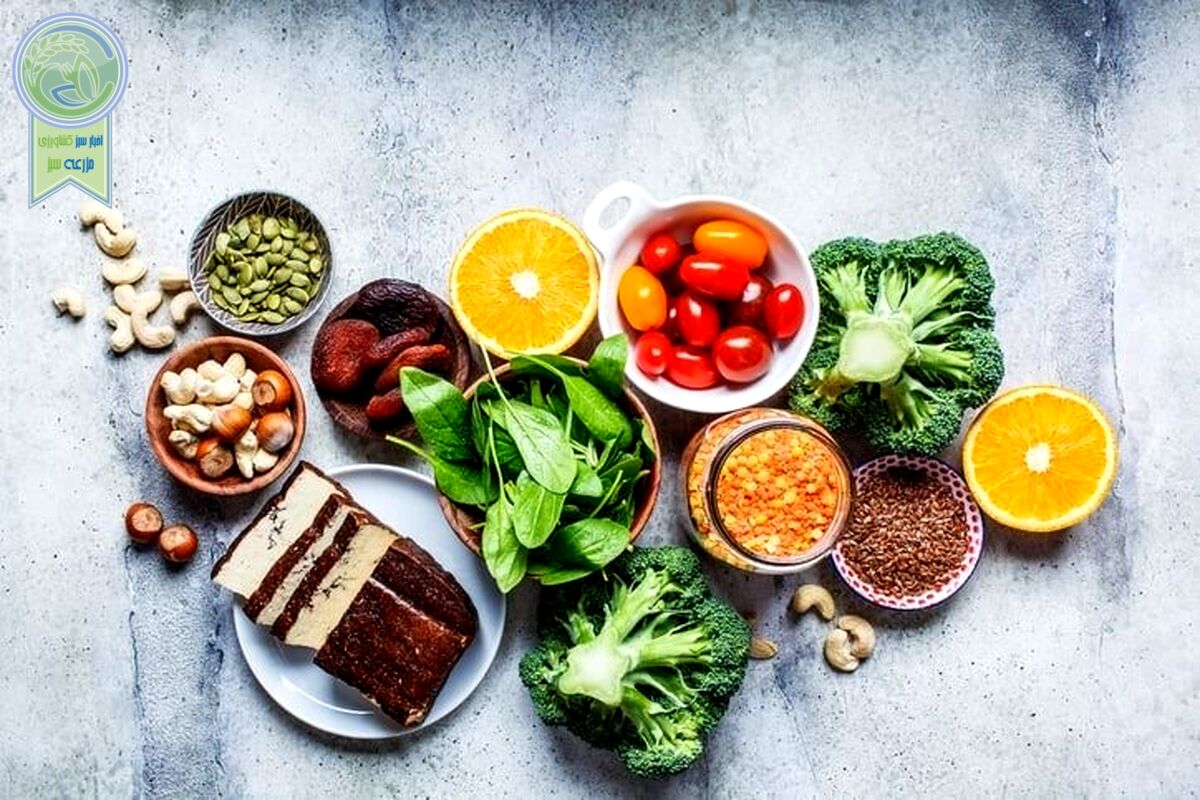 مصرف پروتئین برای افراد مبتلا به سرطان ضروری است

