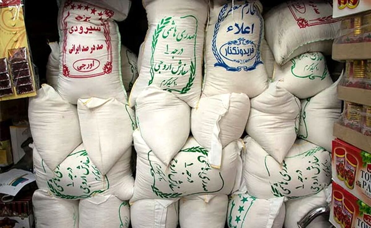 تحرک در بازار برنج مازندران با اعلام نرخ خرید تضمینی

