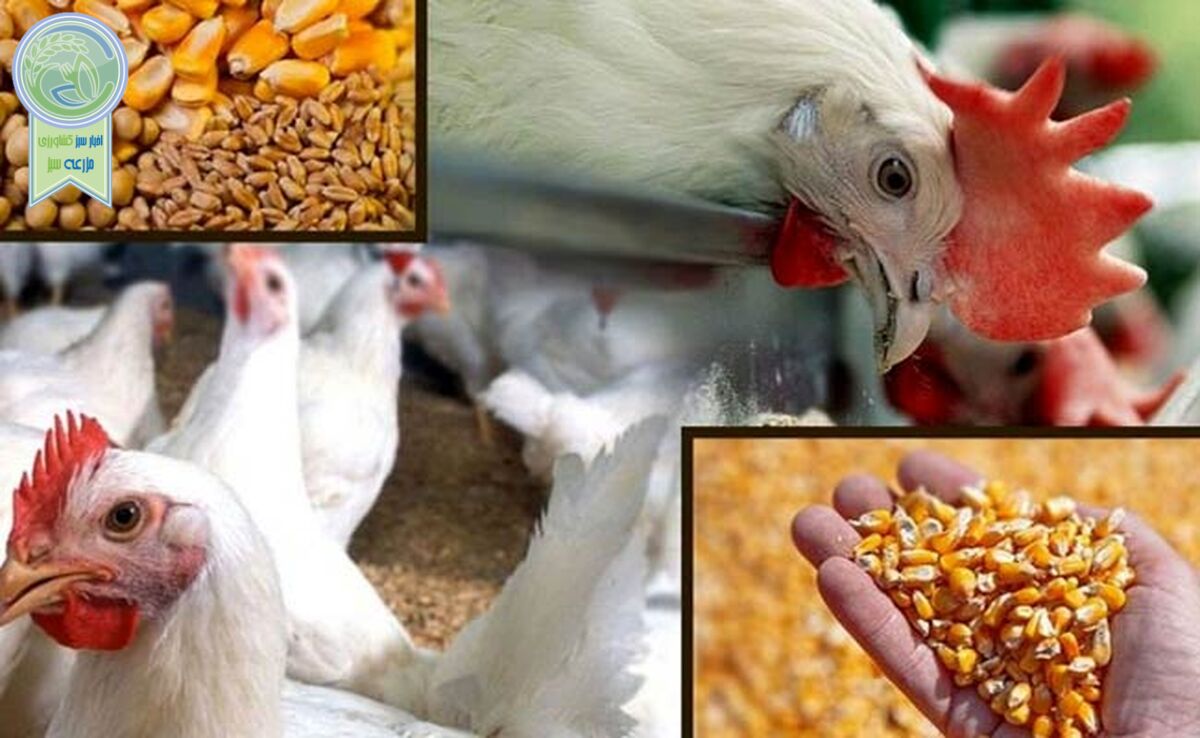 قیمت نهاده های دامی و کشاورزی ۲۵ اردیبهشت ۱۴۰۳+ جدول

