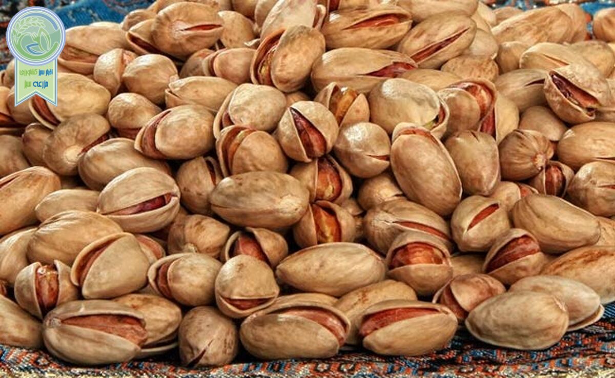قصه پرغصه صادرات ایران/ روایت یک تولیدکننده از مشکلات صادرات

