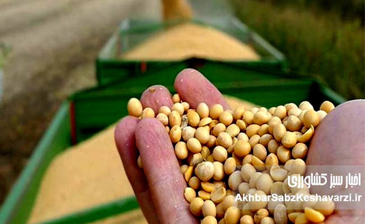 آژیر برای علاج واقعه قبل از وقوع؛ کمبود نهاده‌های کشاورزی، تهدیدی برای امنیت غذایی