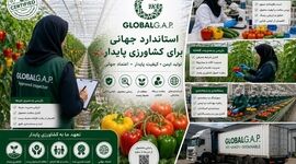 مسیر طلایی صادرات محصولات کشاورزی؛ الزامات گلوبال‌گپ و اهمیت فرهنگ مستندسازی