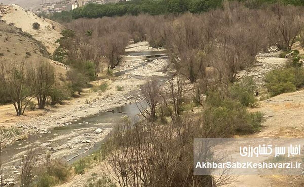خاموشی سبز جاجرود؛ چرا بیدستان‌های شرق تهران خشک شدند؟