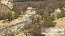 خاموشی سبز جاجرود؛ چرا بیدستان‌های شرق تهران خشک شدند؟