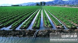 نقش کشاورزی آبی در تولید آلاینده‌ها