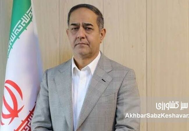 آرامش در بازار روغن خوراکی؛ طلایی از نبود نگرانی خبر داد