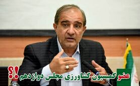  پیروزی محمدجواد عسکری با کسب بیشترین آرا

