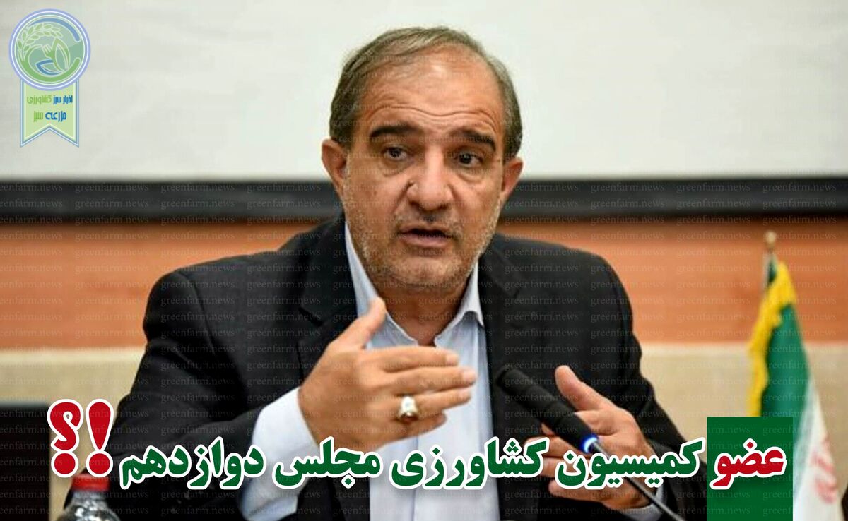  پیروزی محمدجواد عسکری با کسب بیشترین آرا


