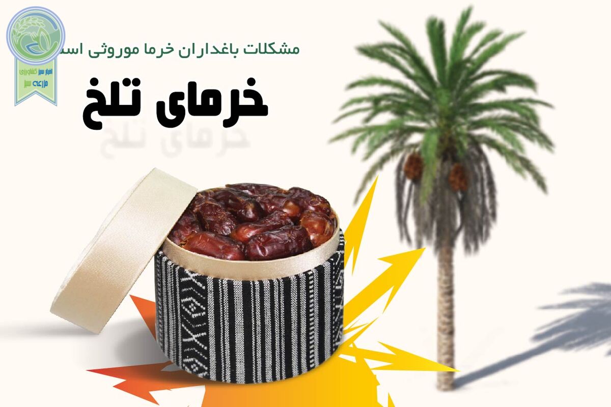 خرمای تلخ

