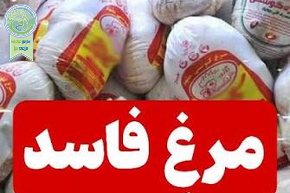 افشای طرح فروش مجدد مرغ‌های تاریخ مصرف گذشته به شرکت پشتیبانی با تاریخ جدید 