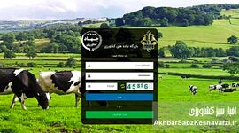چرا بازارگاه نهاده‌ها نیازمند نقشه راه منظومه‌ای و هوشمند است؟
