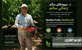 از باغ‌های هلو و شلیل چهارده تا توانمندسازی زنان روستایی؛ الگوی موفق اشتغال سبز در گلستان+ویدئو