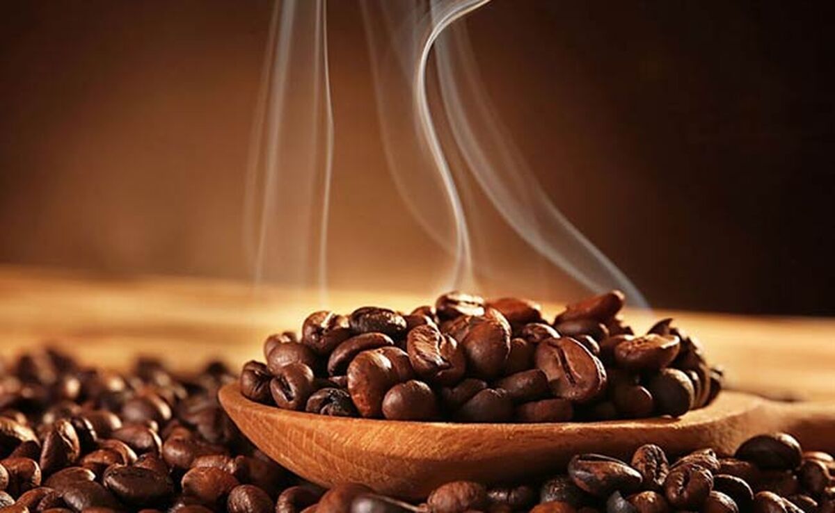 خروج ۲۰۰ میلیون دلار ارز از کشور برای واردات قهوه

