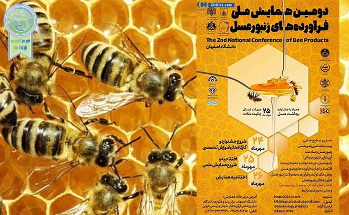 فراخوان مقاله دومین همایش ملی فرآورده‌های زنبورعسل

