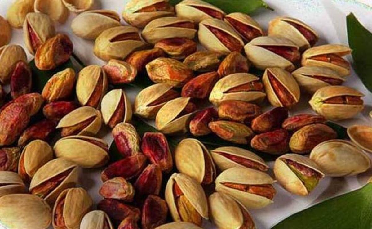 برگشت پسته ایرانی برای آفلاتوکسین

