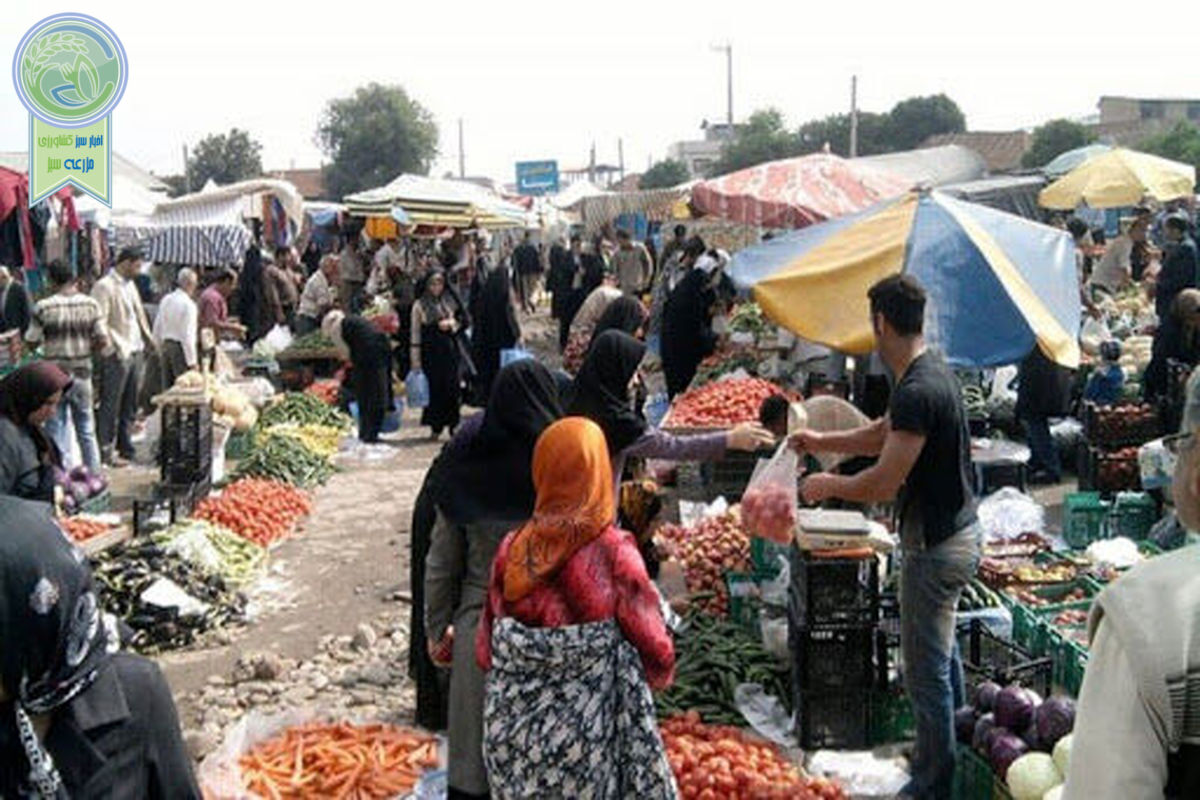 راه‌اندازی ۵۰۰ روستابازار در سطح کشور

