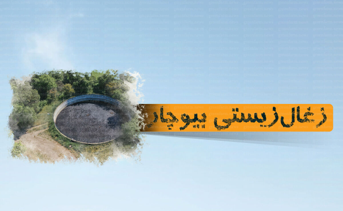 زغال زیستی بیوچار

