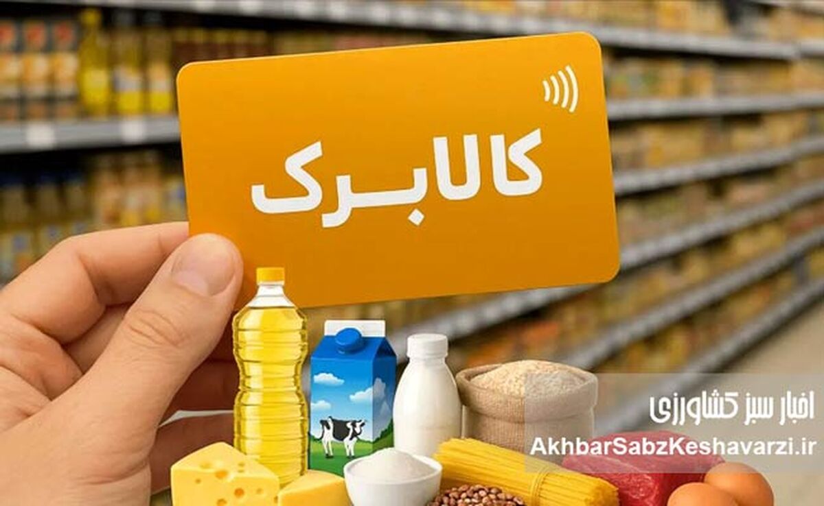 مشمولان کالابرگ بخوانند؛ واریز خرداد در ۳ نوبت + احتمال افزایش مبلغ