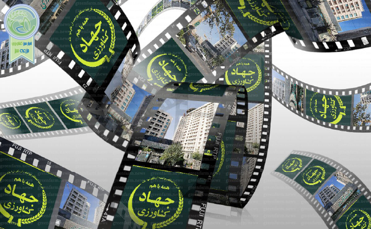 وزارت جهاد کشاورزی در برابر انبوهی از مشکلات

