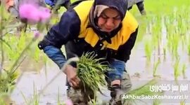 زنانی که امنیت غذایی جهان را می‌سازند+پادکست


