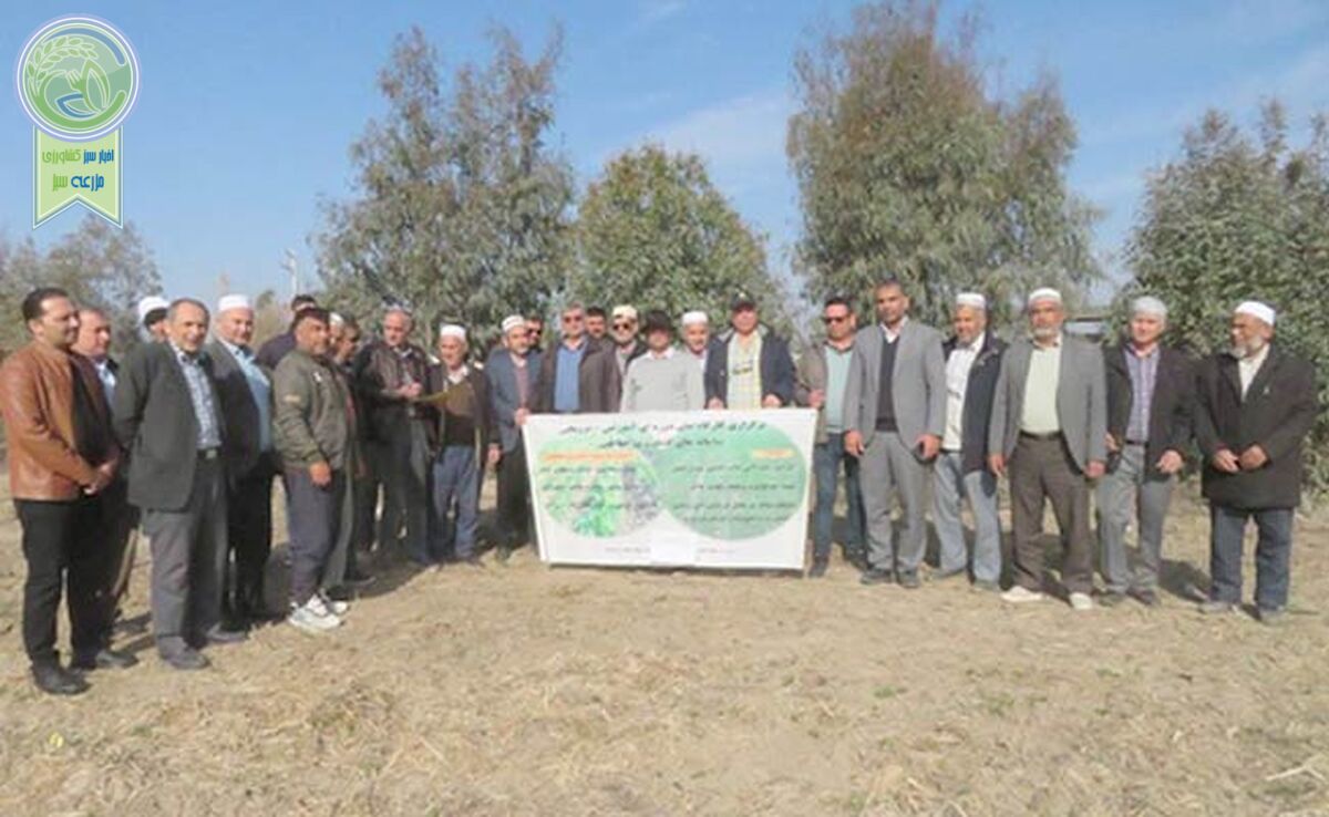 کارگاه آموزشی اصول سه‌گانه کشاورزی حفاظتی در آق‌قلا+ ویدئو

