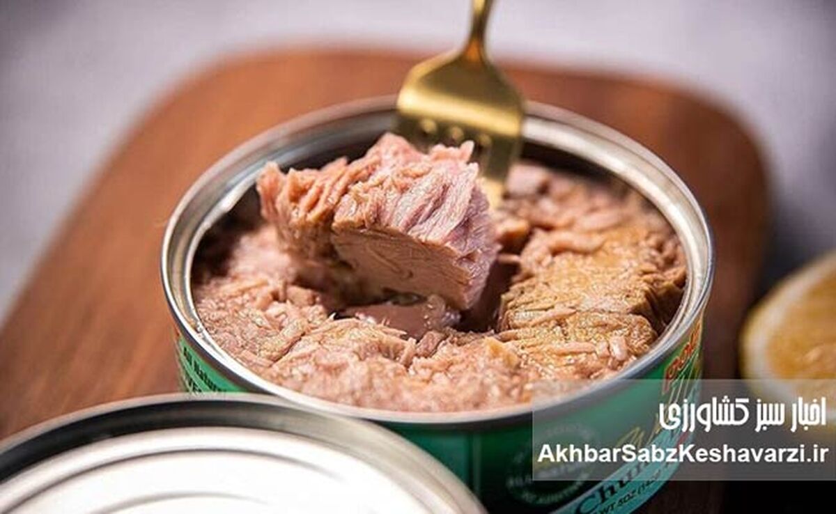 آیا کنسرو ماهی شما حاوی قاتلان خاموش است؟ هشدار درباره «فلزات سنگین در کنسرو ماهی»!
