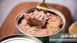 آیا کنسرو ماهی شما حاوی قاتلان خاموش است؟ هشدار درباره «فلزات سنگین در کنسرو ماهی»!
