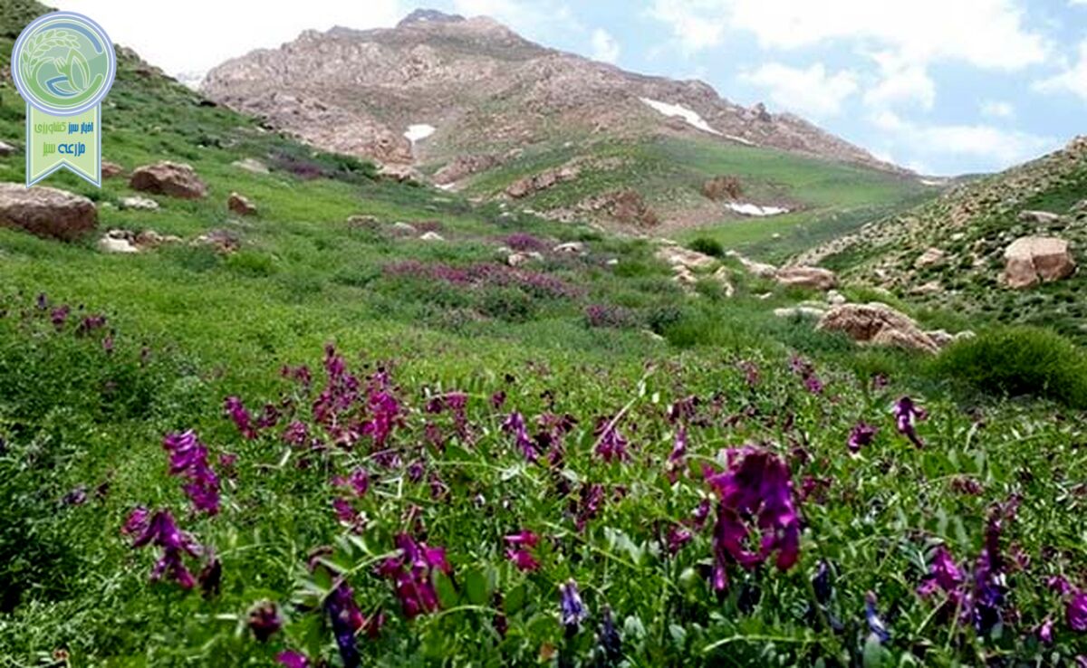 تکه‌ کردن رشته ‎کوه دنا را متوقف کنید

