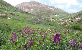 تکه‌ کردن رشته ‎کوه دنا را متوقف کنید

