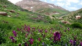 تکه‌ کردن رشته ‎کوه دنا را متوقف کنید

