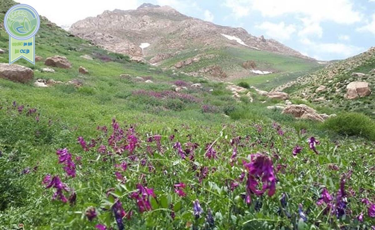 تکه‌ کردن رشته ‎کوه دنا را متوقف کنید

