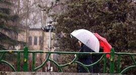 آغاز بارش‌ها در ۲۴ استان کشور/ برف هم می‌بارد؟

