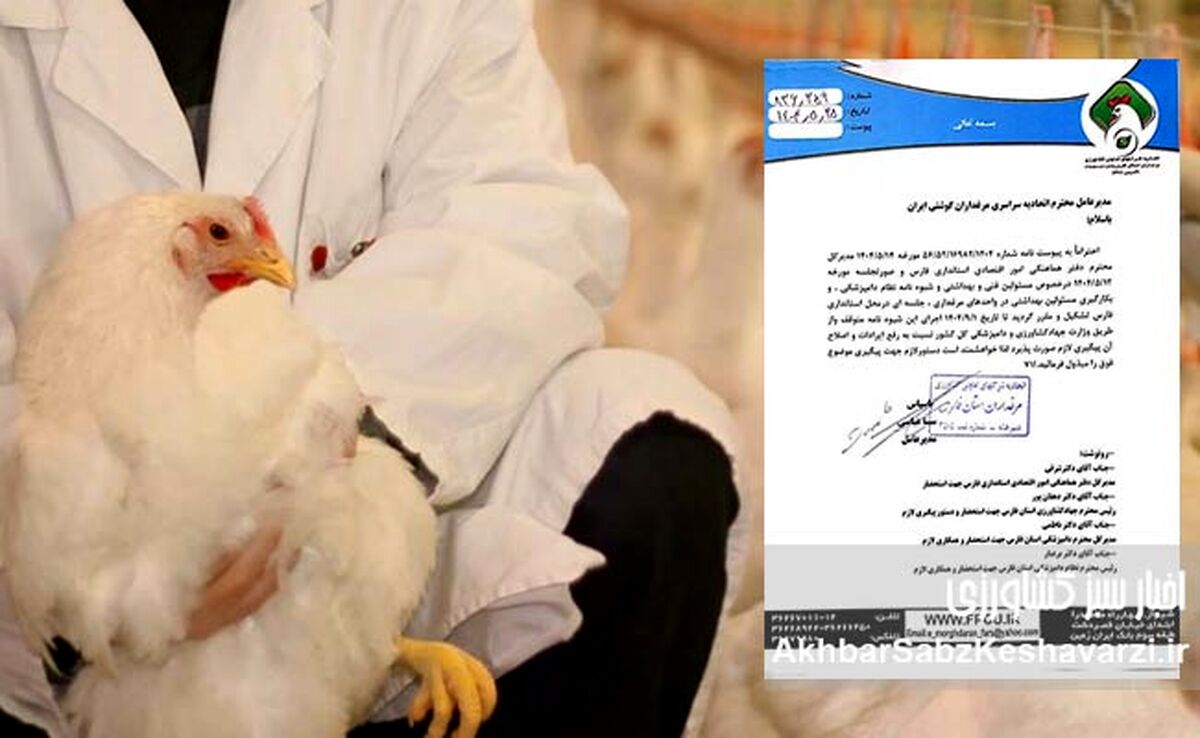 اعتراض به استخدام اجباری دامپزشک: صنعت مرغداری در آستانه چالش جدیدی است؟+نامه