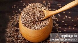 تخم کتان؛ راز سلامتی در یک دانه کوچک