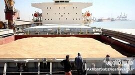 توزیع ۱۰۰ هزار تن کنجاله سویا در دی‌ماه ۱۴۰۴ به دست مرغداران واقعی رسید؟
