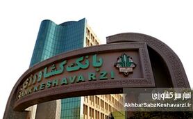 افزایش ۳۲ درصدی حمایت تسهیلاتی بانک کشاورزی از امنیت غذایی

