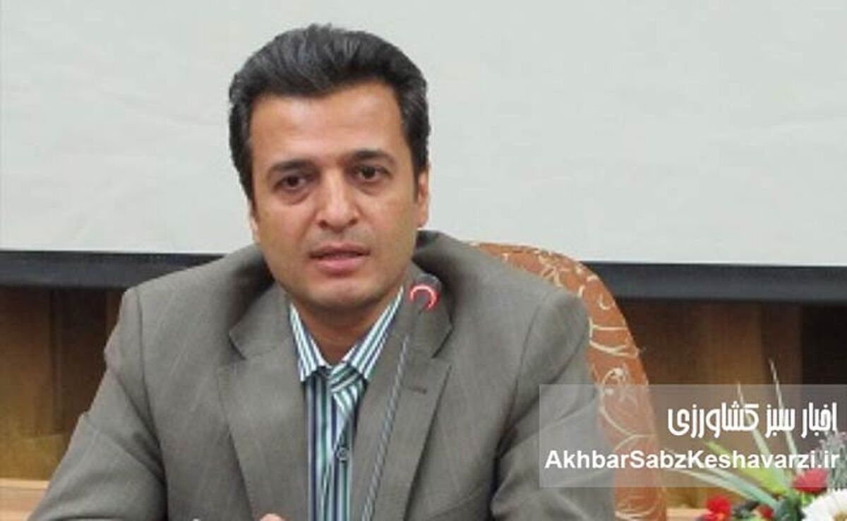 الگوهای بین‌المللی توسعه مدیران در بخش کشاورزی؛ درس‌هایی برای ایران