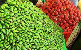 عرضه گسترده نوبرانه‌ها در بازار

