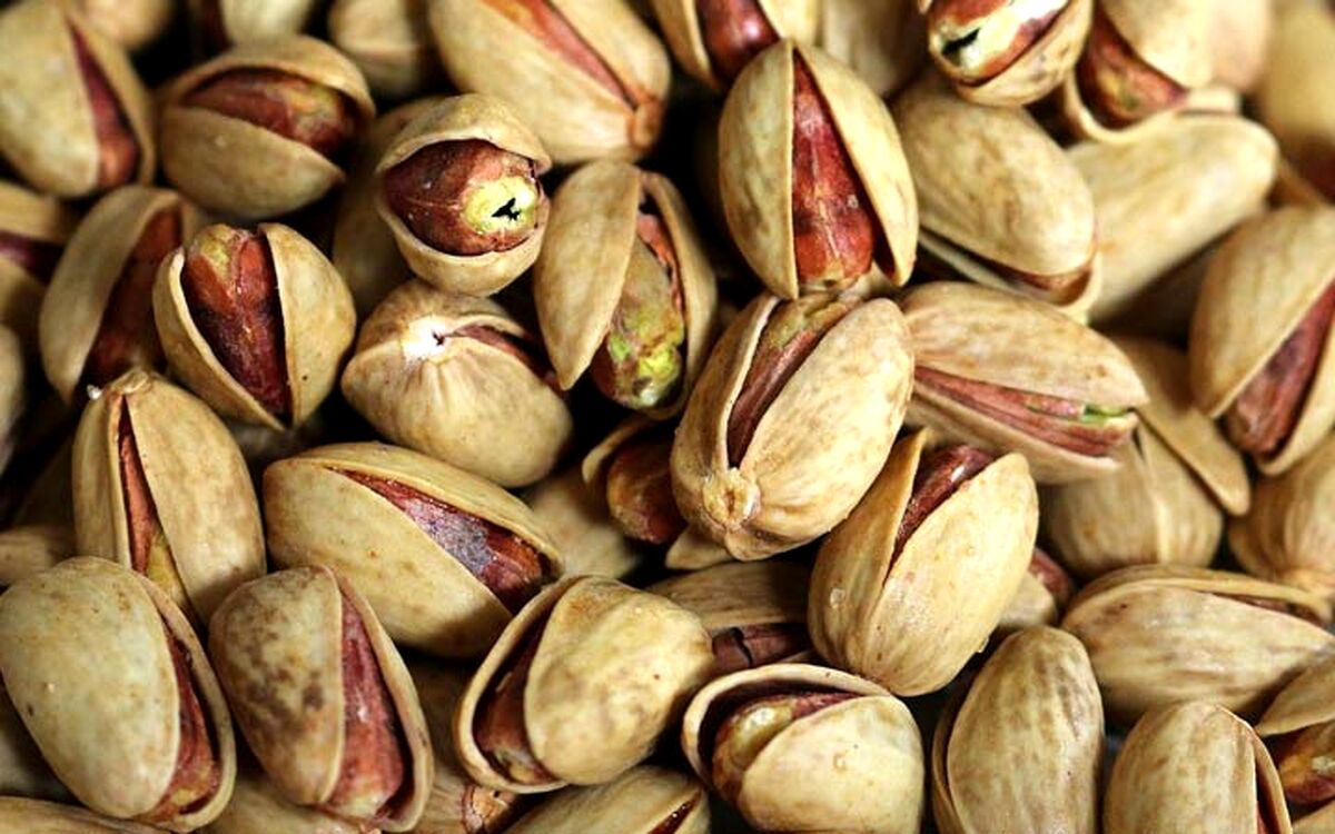 تولید کنندگان پسته بر سر دو راهی صادرات و بازار داخلی
