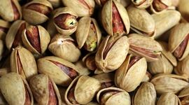 تولید کنندگان پسته بر سر دو راهی صادرات و بازار داخلی