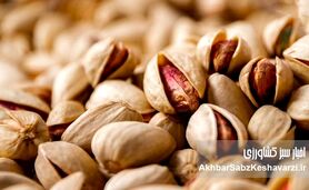 کانادا واردات پسته از ایران را ممنوع کرد: زنگ خطر «سالمونلا» برای صادرات