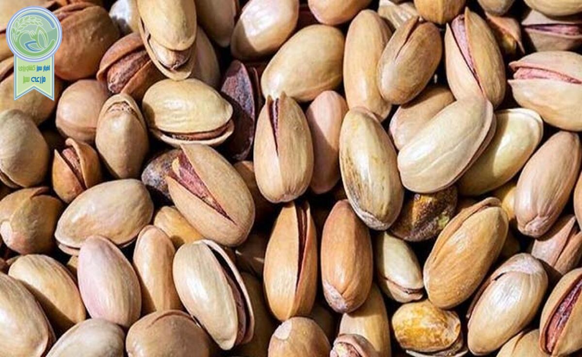 کاهش ۷۰هزار تنی صادرات پسته به چین

