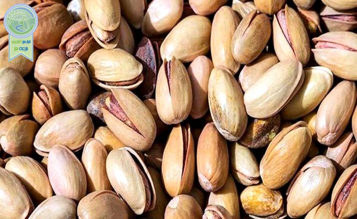 کاهش ۷۰هزار تنی صادرات پسته به چین

