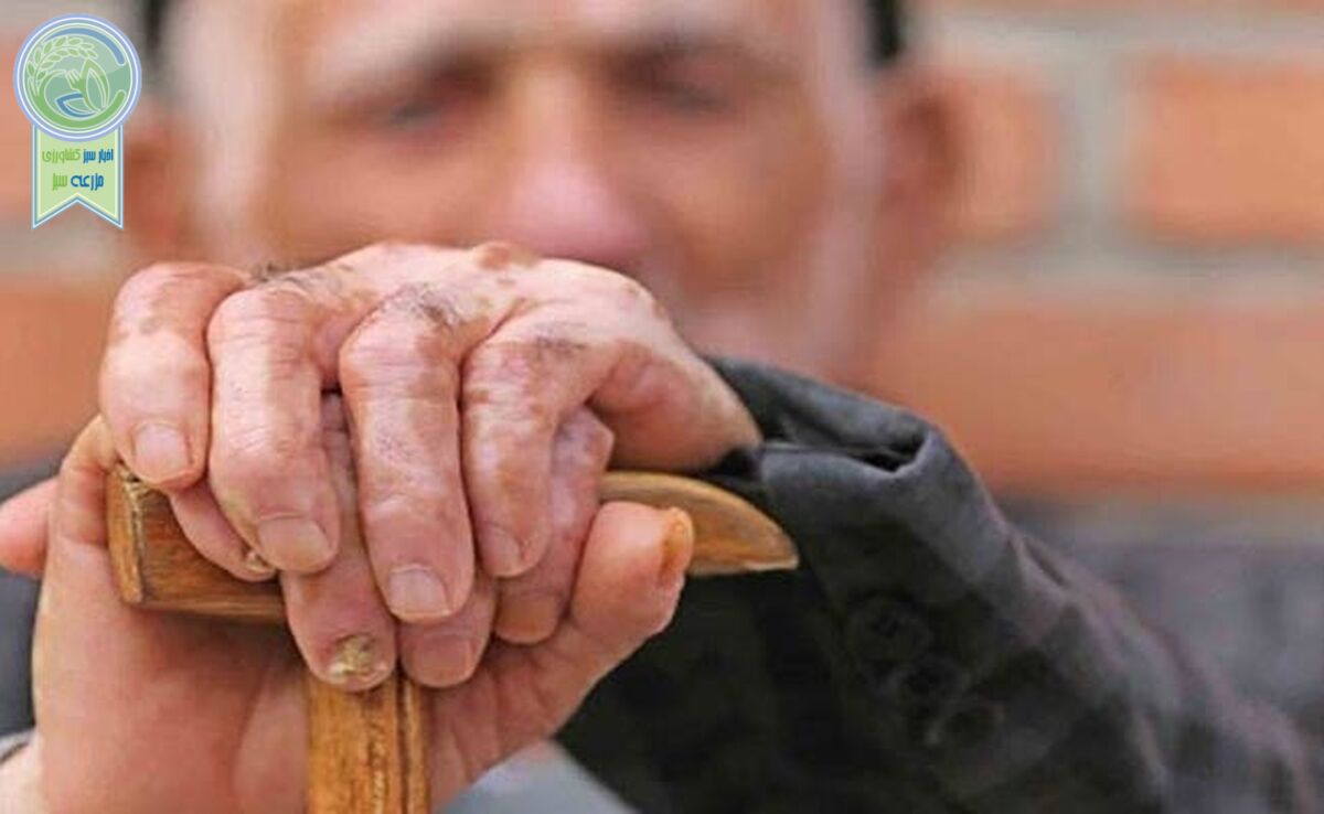 سالمندی ۳۳ درصد جمعیت کشور تا ۱۴۳۰

