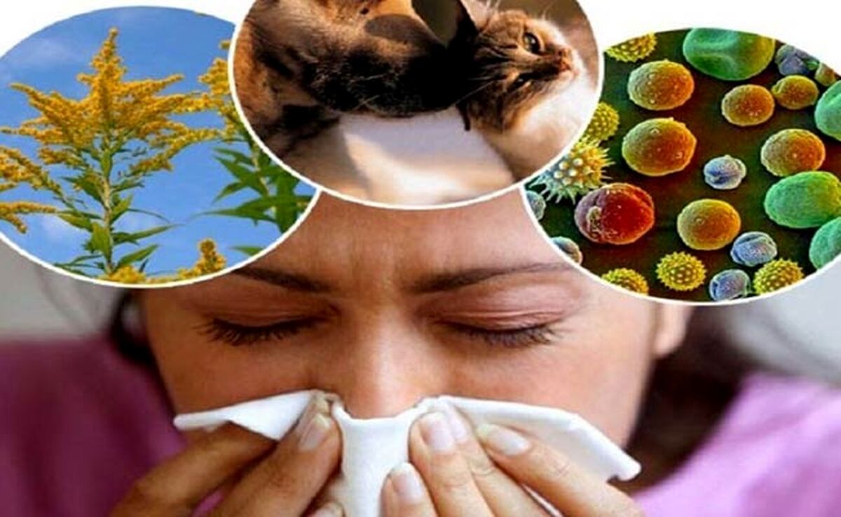 هشدار به افراد مبتلا به آلرژی: از مصرف این مواد غذایی خودداری کنید!