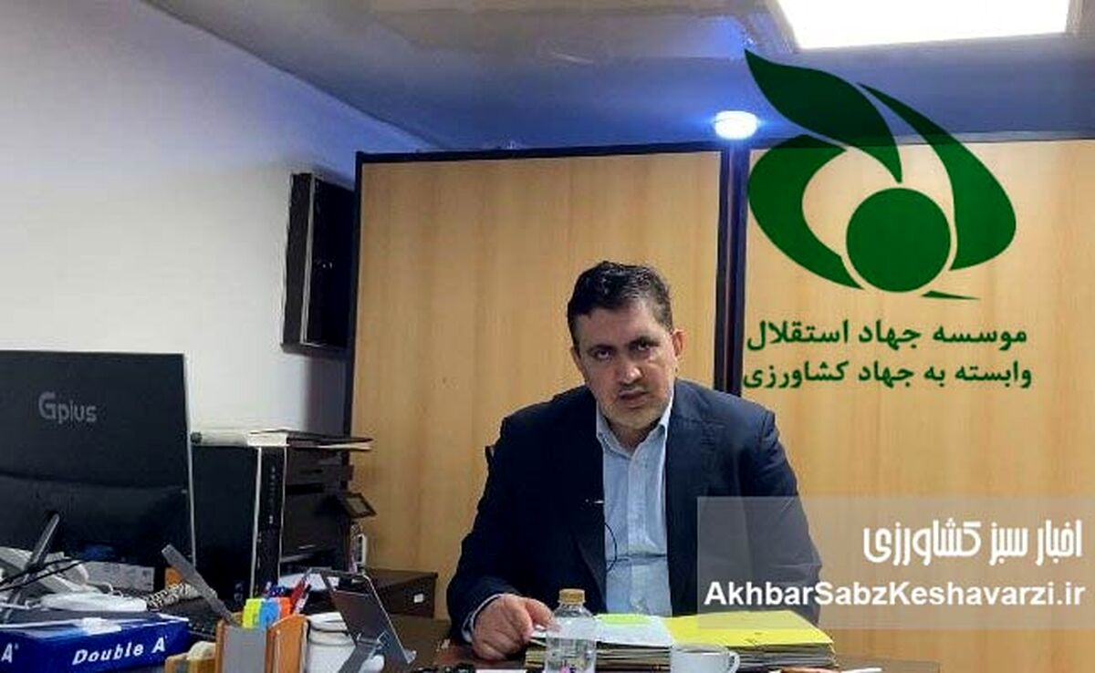ادامه حضور مدیرعامل محکوم اقتصادی در جهاد استقلال؛ چرا حکم قطعی اجرا نمی‌شود؟