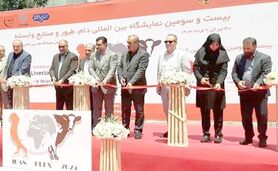 ۵ راهبرد تعریف شده وزارت جهاد کشاورزی

