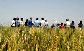 روزی برای تقدیر از کشاورزی و مزرعه‌داری

