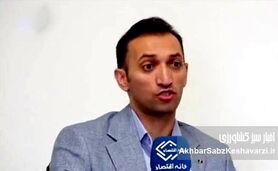 دکتر حامد نجفی: چرا برنج ۳۸۰ هزار، لوبیا چیتی ۳۰۰ درصد گران شد+ویدئو