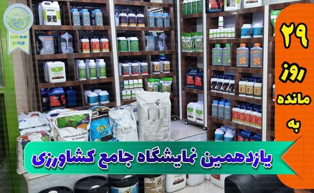 رویارویی و تعامل شرکت‌های تولیدکننده در نمایشگاه یازدهم

